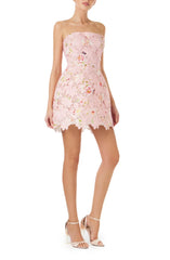 Printed Lace Mini Dress